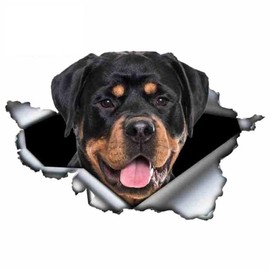 Rottweiler 3D Breakthrough Effect, Waterproof, Reflective, Funny Sticker for Laptop, Fridge, Car, Bumper, Window (15 cm/5.9 Inches)