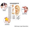 Ear Acupuncture Mini poster Anatomy 34x24 cm Medical Teaching Medium