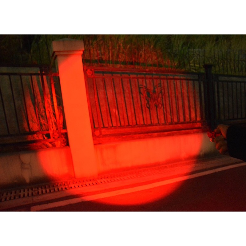 WAYLLSHINE (Pack of 2) One Mode Red Light Flashlight, Single