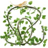 QUOZUO Reptile Tank Accessories Plants Vines and Flexible Reptile Artificial