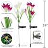 Outdoor Solar Lights – Decorative LED Flowers – Pack of