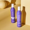 Loma Hair Care Violet Shampoo, Vanilla Bean/Blood Orange, 12 fl.