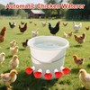 Tibaebe Chicken Waterer Cups, 8 Pack Red Automatics Chicken Waterer,