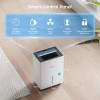 Glowells Compressor Dehumidifier 80 Pints Smart Humidity Control Home Basement
