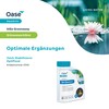 OASIS Water Treatment Aqua Activ Algo Greenaway 500 ml, silver