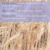 Valquer Professional Hair Bleaching Powder Wheat Proteins Hair Dyeing Fade