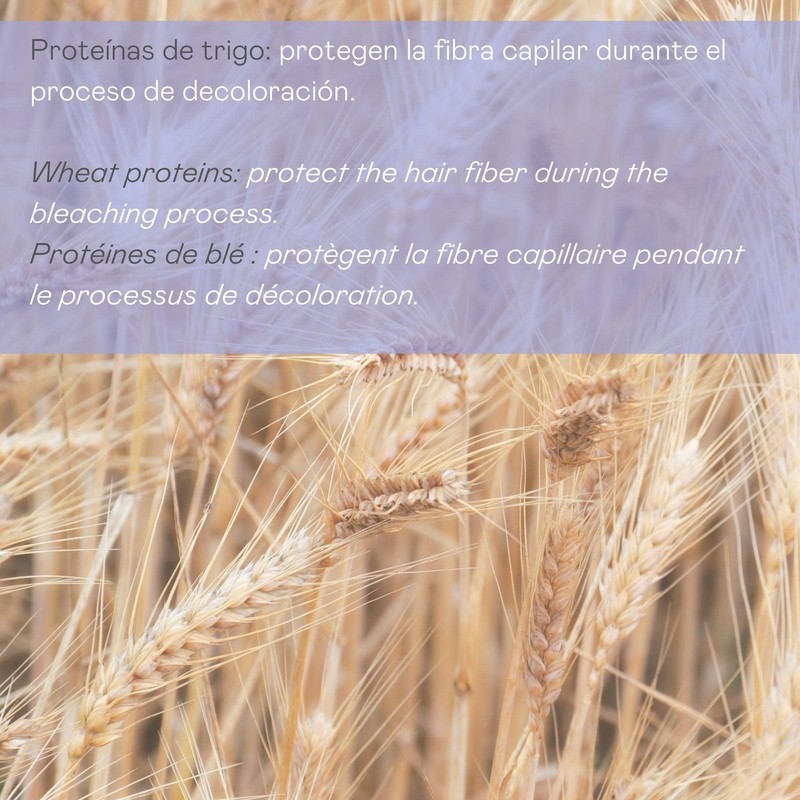 Valquer Professional Hair Bleaching Powder Wheat Proteins Hair Dyeing Fade