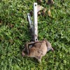 2PCS Heavy Duty Mole Claw Scissor Traps Rat Repellent Outdoor