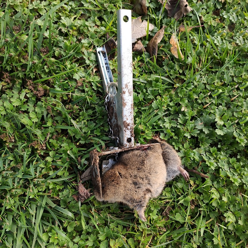 2PCS Heavy Duty Mole Claw Scissor Traps Rat Repellent Outdoor