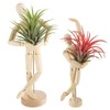Air Plant Holder Wooden Jointed Mannequin - Adjustable Tabletop Air