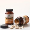 Organic India Ashwagandha Root Ayurvedic Herbal Supplement, 90 Capsules
