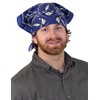 Sunshine Joy Grateful Dead Skull & Roses Bandana Blue
