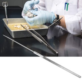 Fyearfly 5pcs Dissection Needles, Stainless Steel Dissecting Needle with Straight Tip Biology Experiment Equipment Micro Fine Precision Probe Teasing Needles