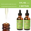 Mielle Organics Sunnydaze Decor MIELLE Colección Romero Mint (aceite, 2
