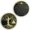 4 Year Tree of Life Sobriety Chip, AA Chips and