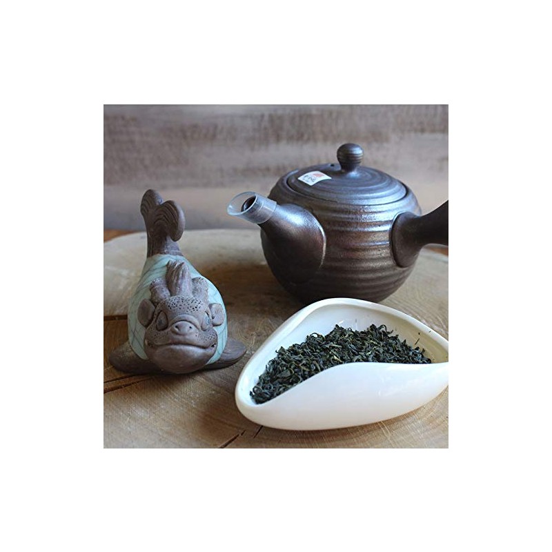 TEA SOUL | Kyusu Giapponese Tokoname in Ceramica Marrone Scuro
