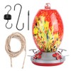 Hummingbirds Water Feeder Colorful Painting Glass Bird Feeding Tool for