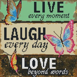 Abillyn Embroidery Cross Stitch Kit Funny Sayings Stamped with Printed Pattern Starter Kit (Sayings)