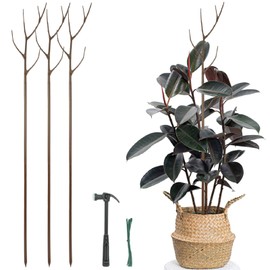 Twig Indoor Plant Support Stakes for Potted Plants, 3 Pack 39.4" Brown Twig Trellis for Outdoor Plants, Alternative Moss Poles for Climbing Plants Monstera Hoya Flowers Sticks Garden Rods with Hammer