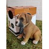 Vivid Arts Pet Pals - Boxer Puppy