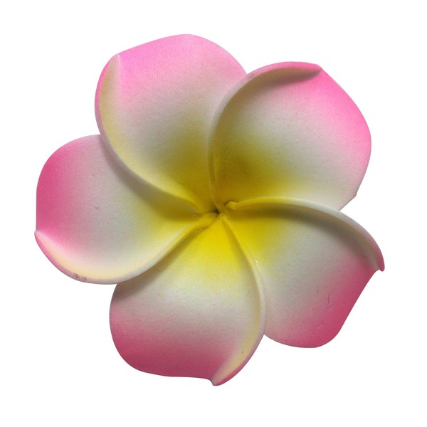 DreamLily Women's Fashion 3 Pcs Hawaiian White Plumeria Flower Foam Hair Clip Balaclavas for Beach (Candy Pink)