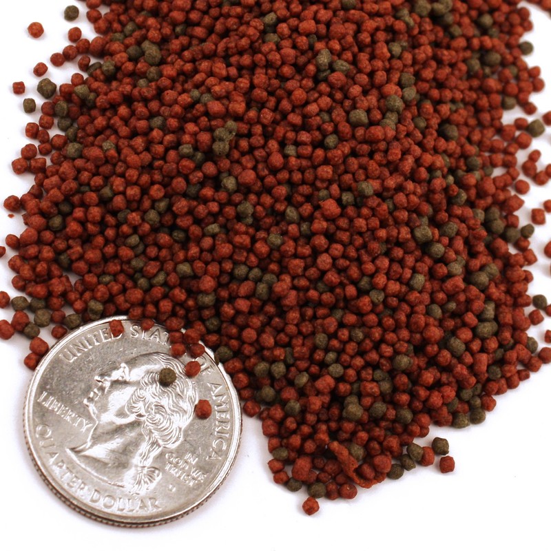 Pisces Pros Betta Bites Fish Food (1 oz)
