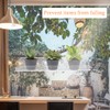 Sumerflos 2 Pack Window Shelves for Plants, Clear Acrylic Suction