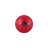 TAP Extreme Duty Weighted Ball Set