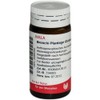 Bronchi Plantago Glob Vela 20 g Globules PZN: 85350