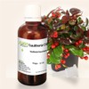 Allin Exporters Pure Gaultheria Essential Oil - 100% Pure, Natural