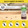 Harris Diatomaceous Earth Crawling Insect Killer, 9oz