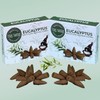 TRUMIRI Eucalyptus Backflow Incense Cones - Total 20 Incense Cones