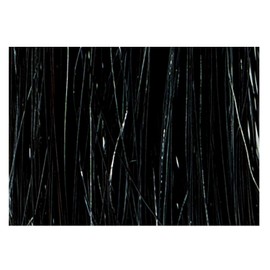 Motto Botanical Color Shampoo, Pump Type, Black, 10.1 fl oz (300 ml)