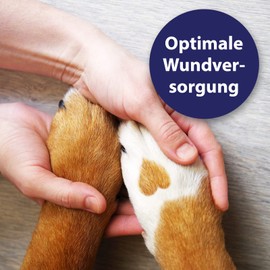 Canosept Wundspray für Hunde 75ml - Zur Reinigung und Pflege von Wundbereichen - Optimale Wundversorgung - Stressfreie Anwendung - Von Tierärzten empfohlen