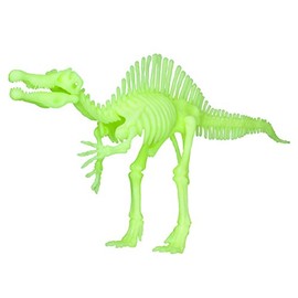 EDU-TOYS Spinosaurus Noctilucent Quick Kit