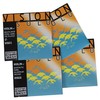 Thomastik-Infeld Vision Solo Violin Strings Set