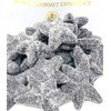 SweetGourmet Extra Salty Starfish Licorice | Dutch Super Sea Salty