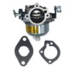 Lanigram 146-0456 Carburetor Fit for Onan 141-0929, 146-0444 RV Generator