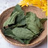 Charm goods Domestic mulberry leaf tea tea bags (50 packs,
