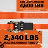 Haccoplanet Ratchet Tie Down Straps, 2340lb Break Strength, 4pc 1inch