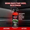 Rebel Rubber, Vinyl & Plastic Spray Shine with UV Protection,