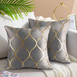 Hanrunsi Grey Cushions Covers 2 Pack 18"x 18" Cushion Cases Velvet Decorative Square Grey Cushions for Sofa Couch Bed Living Room Home Decor 45x45 cm