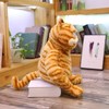 Fat Orange Plush Cat Fat Kitten Stuffed Animals Toy,Cute Fat