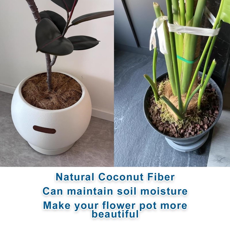 Long Coconut Husk Fiber Mulch Silk for Orchids Clean Coconut