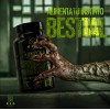 Carnitina Quemador de Grasa Mad Labz 60 Cápsulas 500mg Sin