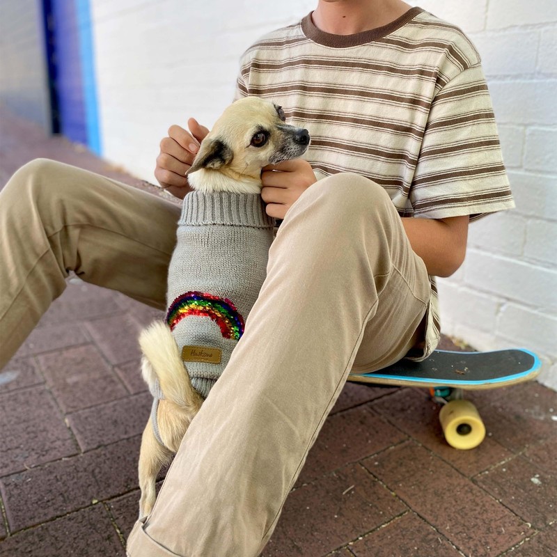 Huskimo Rainbow Dog Jumper, Grey, 40cm