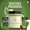 Hongos Adaptógenos Frijol Mucuna Extracto Puro Polvo 100 Suplemento Alimenticio