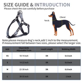 AIITLE Step-In Dog Harness and Leash Set - No Pull Pet Adjustable Halter Harness with A 5FT Leash - Double D ring - Easy Walk Running Training for Large Breed Dogs,Black-Grey Gradient L