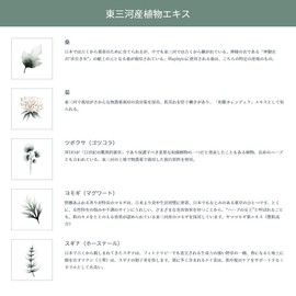 Waphyto Body Wash Nurture Body Wash Body Soap, 8.5 fl oz (250 ml)