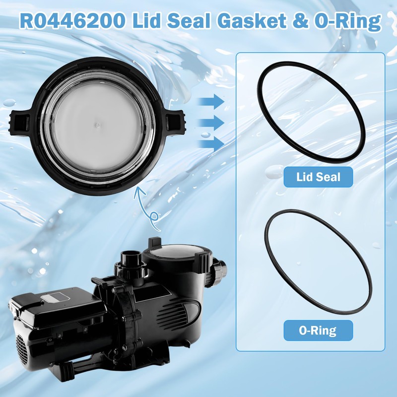 R0446200 Lid Seal Gasket & O-Ring Compatible with Jandy JEP,